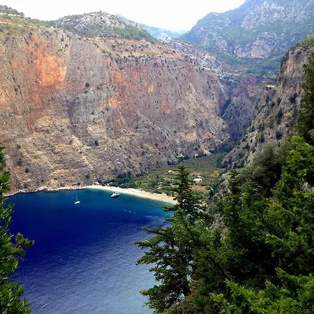 كاييف موتيل فندق