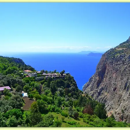 كاييف موتيل *